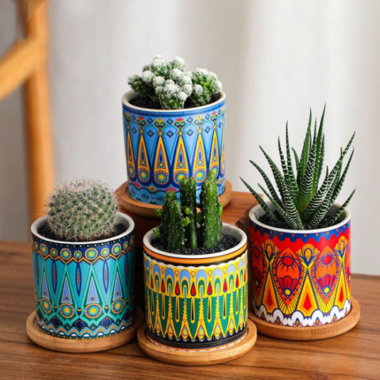 Vibrant Art Succulent Pots