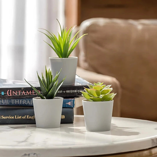 Tahirah Aesthetic Succulent Pots