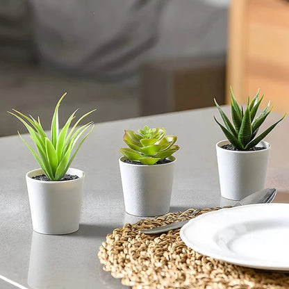 Tahirah Aesthetic Succulent Pots